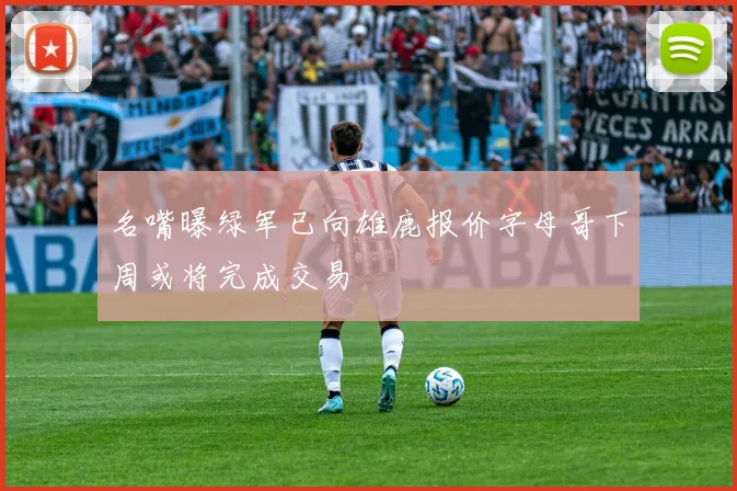 名嘴曝绿军已向雄鹿报价字母哥下周或将完成交易
