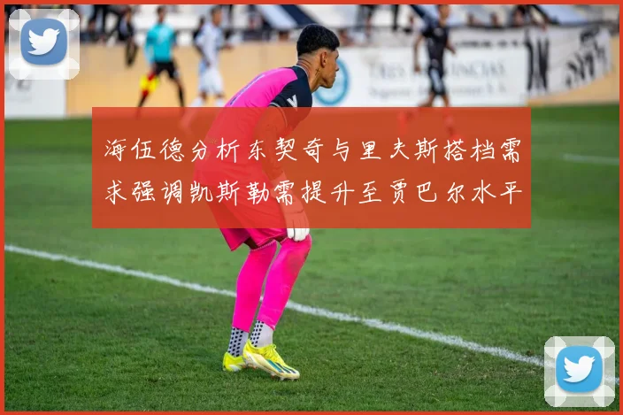 海伍德分析东契奇与里夫斯搭档需求强调凯斯勒需提升至贾巴尔水平